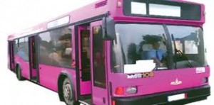 Pink Bus Service