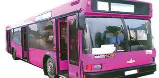 Pink Bus Service