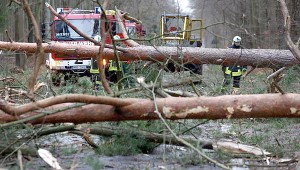 germany storm kills 6